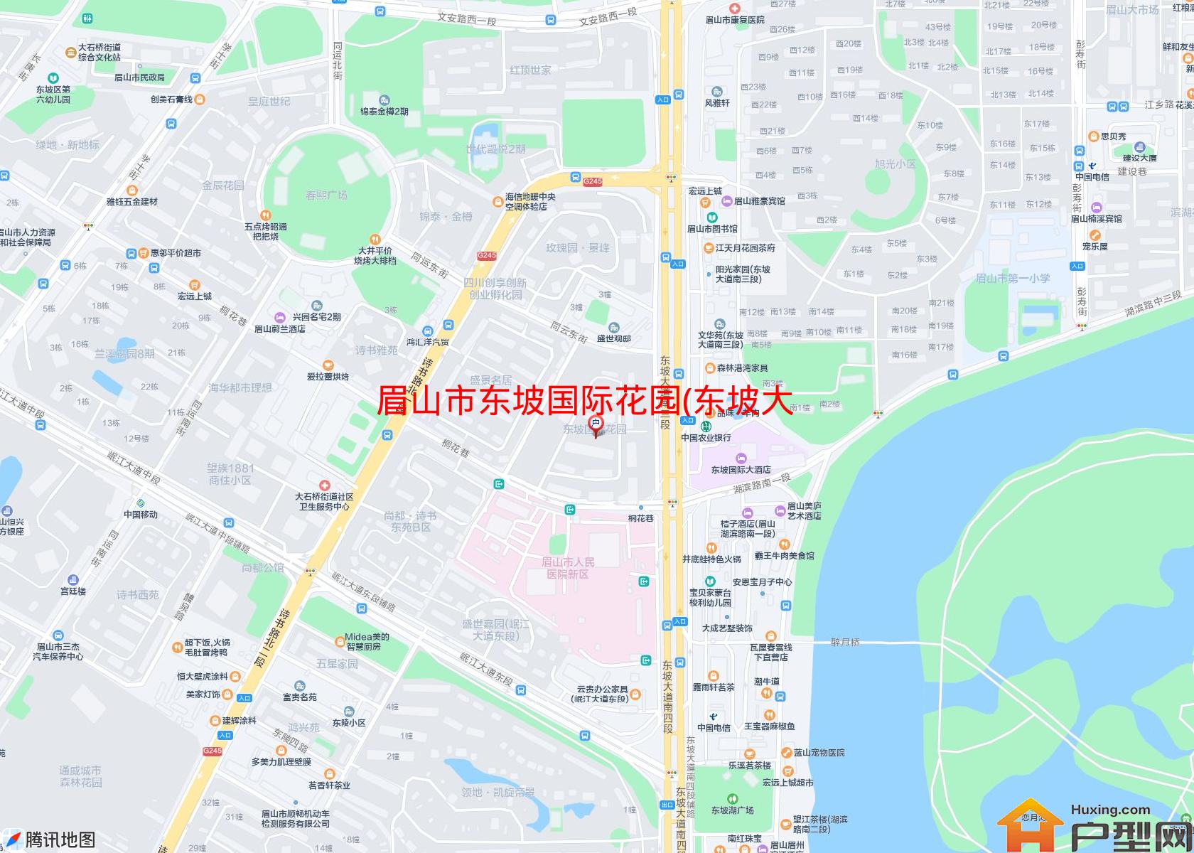 东坡国际花园(东坡大道南三段)小区 - 户型网