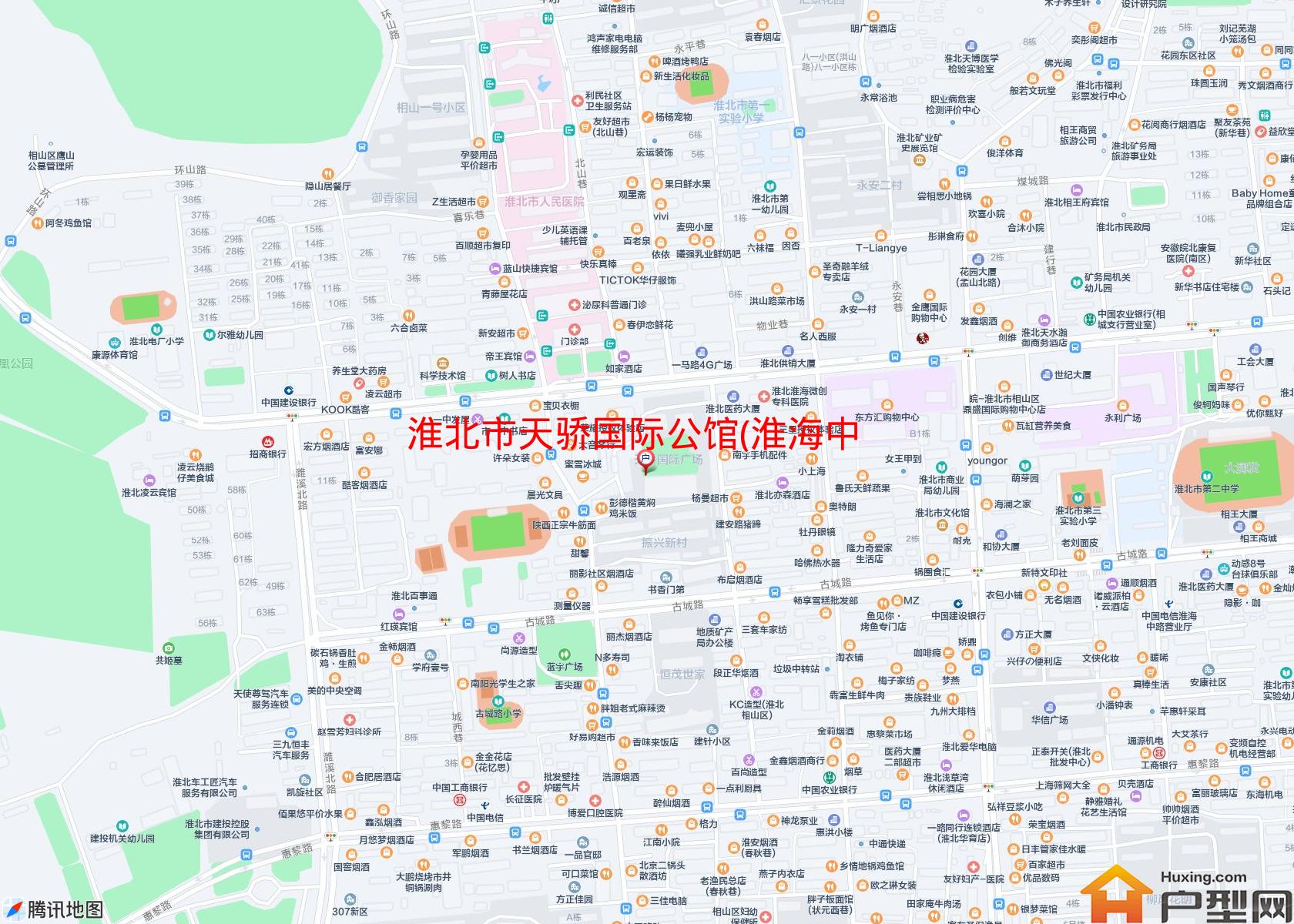 天骄国际公馆(淮海中路51号)小区 - 户型网