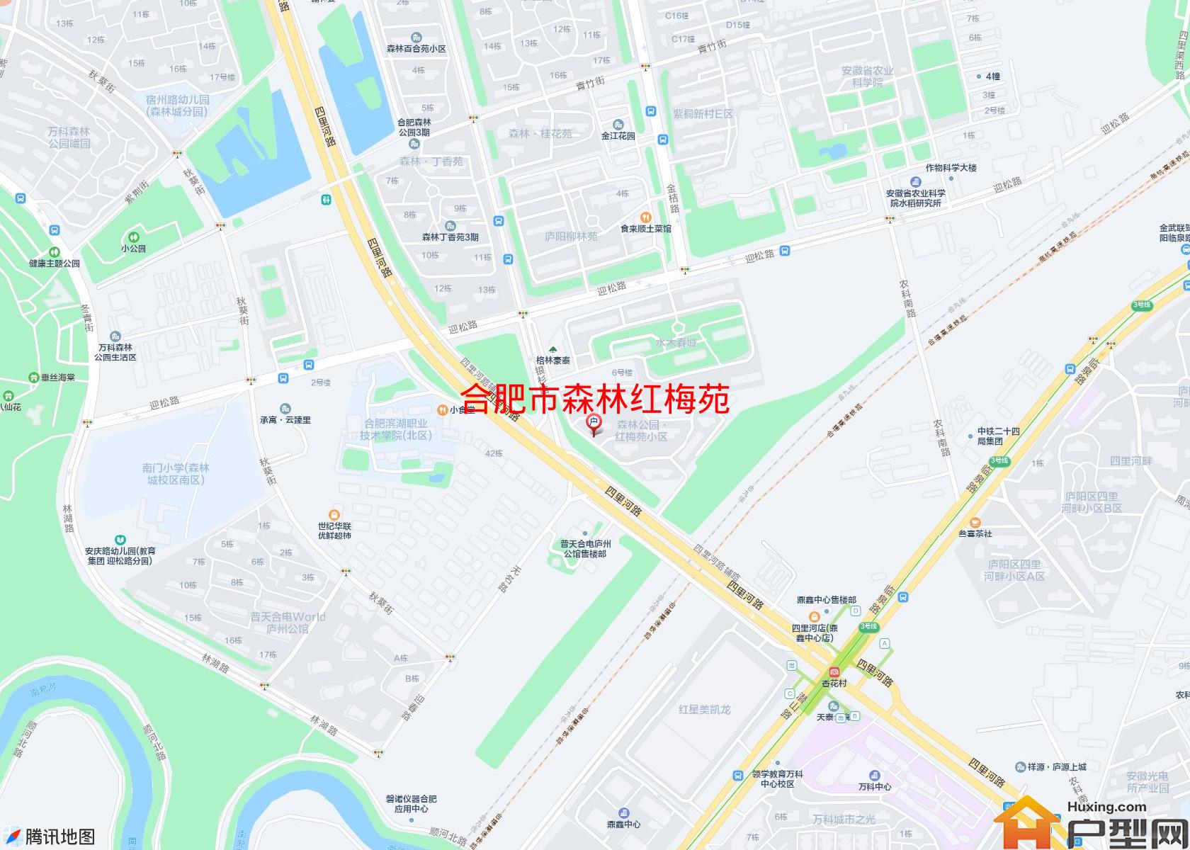 森林红梅苑小区 - 户型网
